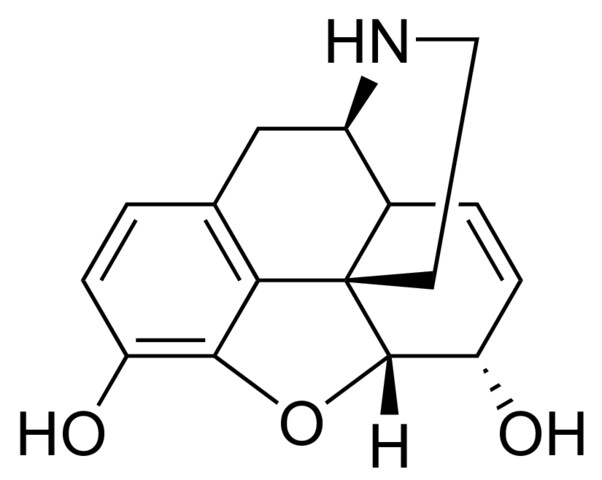 去甲吗啡标准溶液 466-97-7